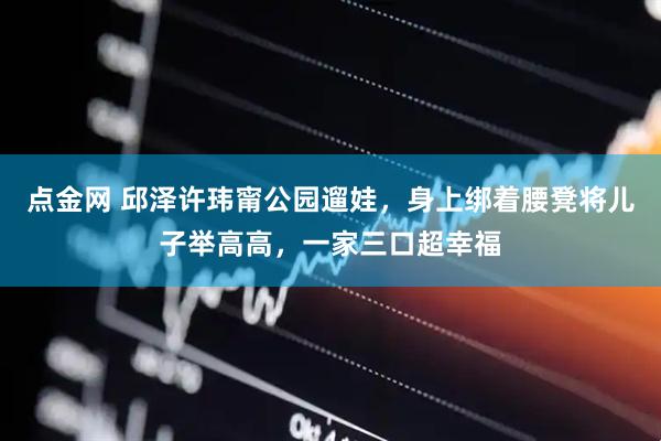 点金网 邱泽许玮甯公园遛娃，身上绑着腰凳将儿子举高高，一家三口超幸福